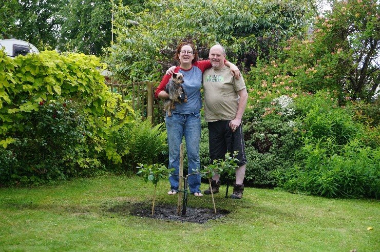 a planted unity tree from a wedding ceremony